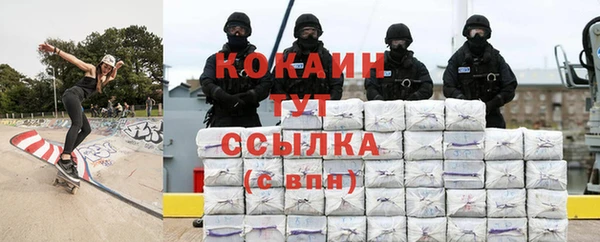 ПСИЛОЦИБИНОВЫЕ ГРИБЫ Бородино