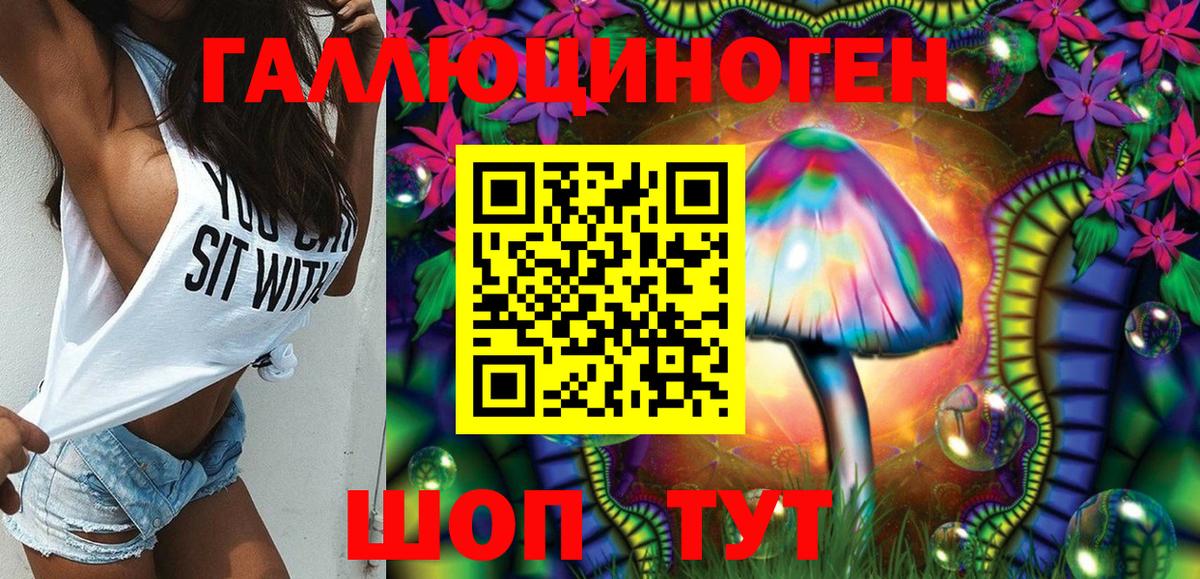 Нижний Новгород  что такое наркотик  Вход с VPN  Галлюциногенные грибы Psilocybine cubensis 