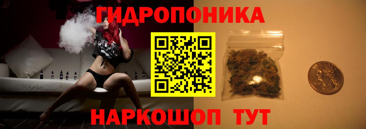 Конопля гибрид Нижний Новгород